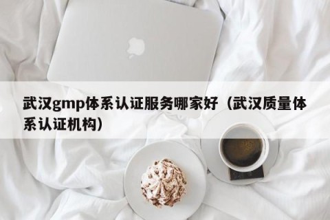 武汉gmp体系认证服务哪家好（武汉质量体系认证机构）