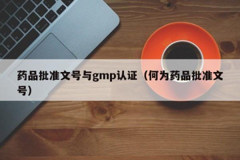 药品批准文号与gmp认证（何为药品批准文号）