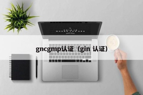 gncgmp认证（gin 认证）