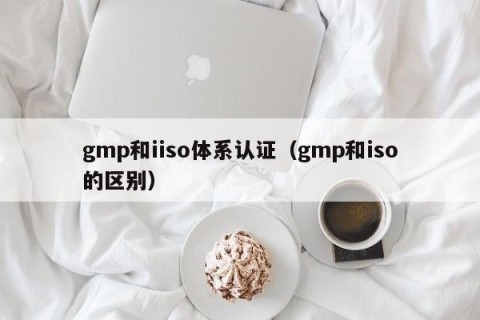 gmp和iiso体系认证（gmp和iso的区别）