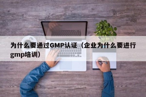 为什么要通过GMP认证（企业为什么要进行gmp培训）