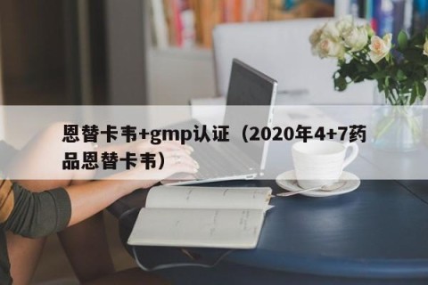恩替卡韦+gmp认证（2020年4+7药品恩替卡韦）