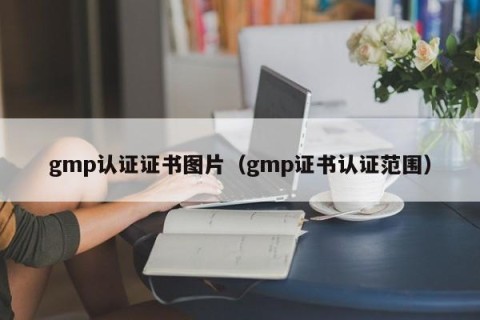 gmp认证证书图片（gmp证书认证范围）