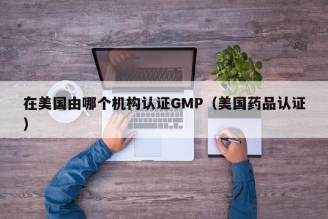 在美国由哪个机构认证GMP（美国药品认证）