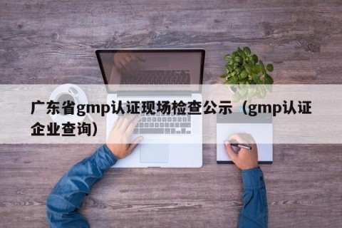 广东省gmp认证现场检查公示（gmp认证企业查询）
