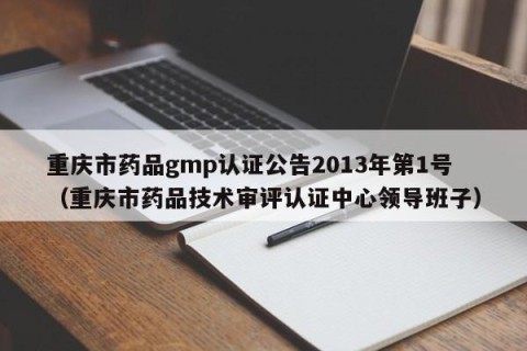 重庆市药品gmp认证公告2013年第1号（重庆市药品技术审评认证中心领导班子）