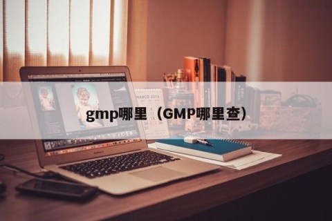 gmp哪里（GMP哪里查）