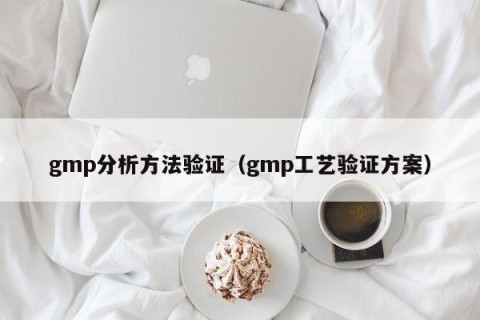 gmp分析方法验证（gmp工艺验证方案）