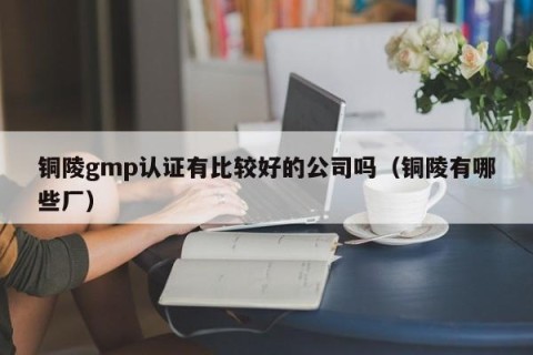 铜陵gmp认证有比较好的公司吗（铜陵有哪些厂）