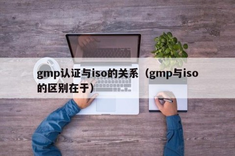 gmp认证与iso的关系（gmp与iso的区别在于）