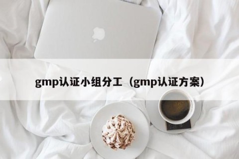gmp认证小组分工（gmp认证方案）