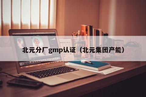 北元分厂gmp认证（北元集团产能）