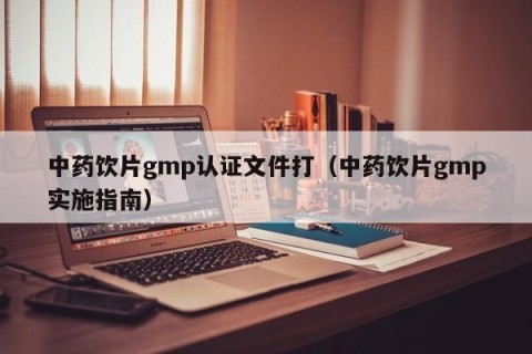中药饮片gmp认证文件打（中药饮片gmp实施指南）