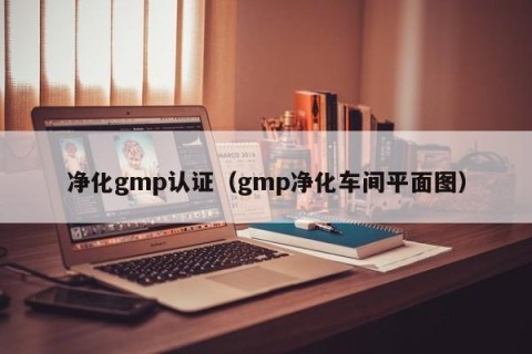 净化gmp认证（gmp净化车间平面图）