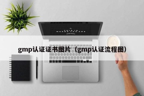 gmp认证证书图片（gmp认证流程图）