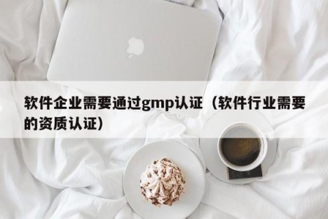 软件企业需要通过gmp认证（软件行业需要的资质认证）