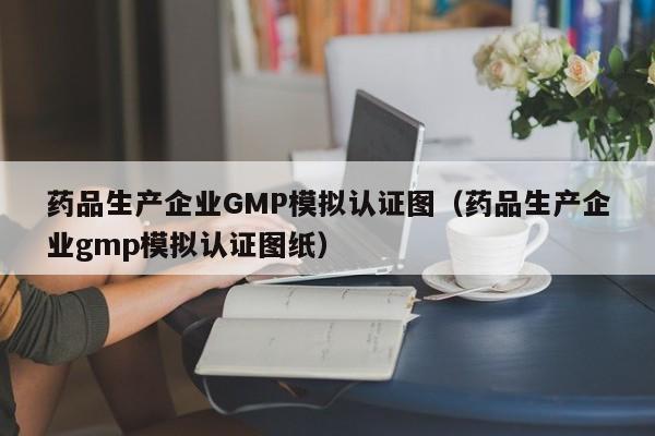 药品生产企业GMP模拟认证图(药品生产企业gmp模拟认证图纸)