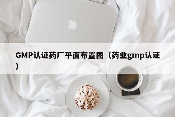 GMP认证药厂平面布置图(药业gmp认证)